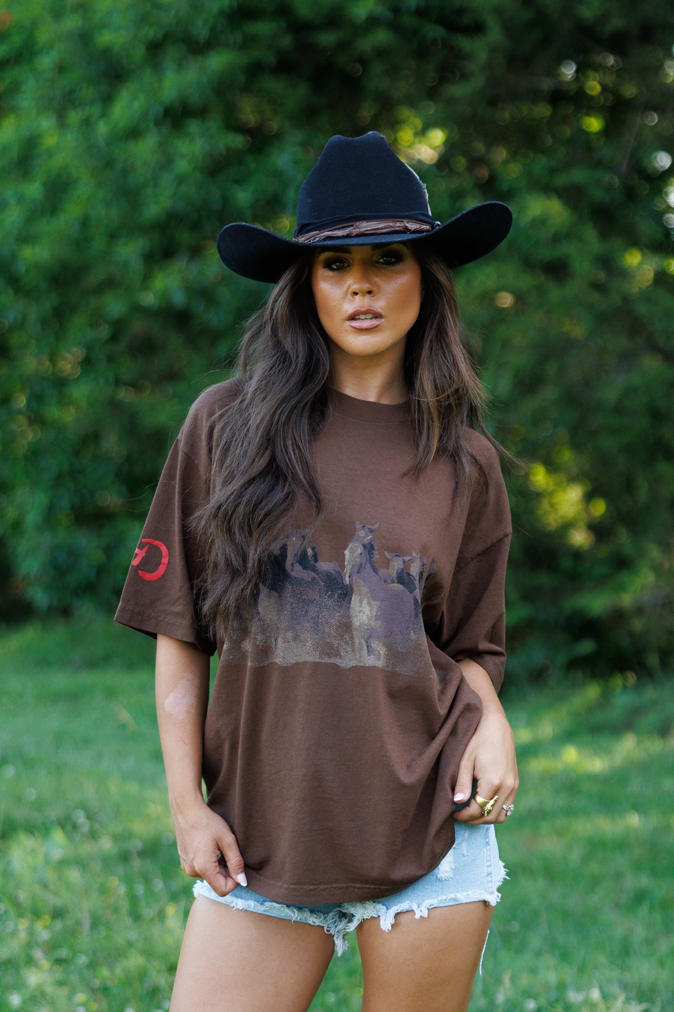 Wild Horse Short Sleeve Tee in Brown
