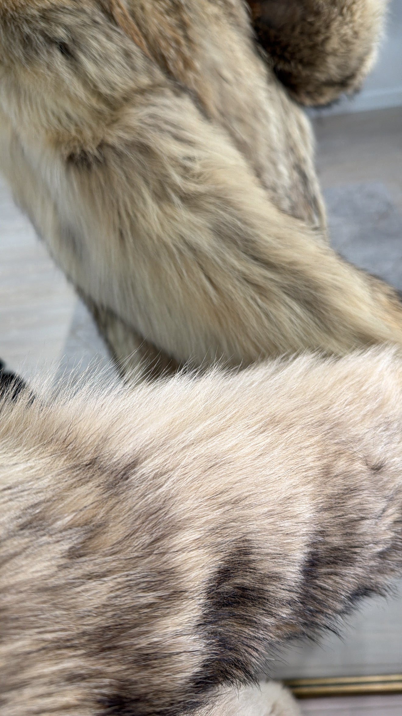 #GB5 Vintage Coyote Fur Coat