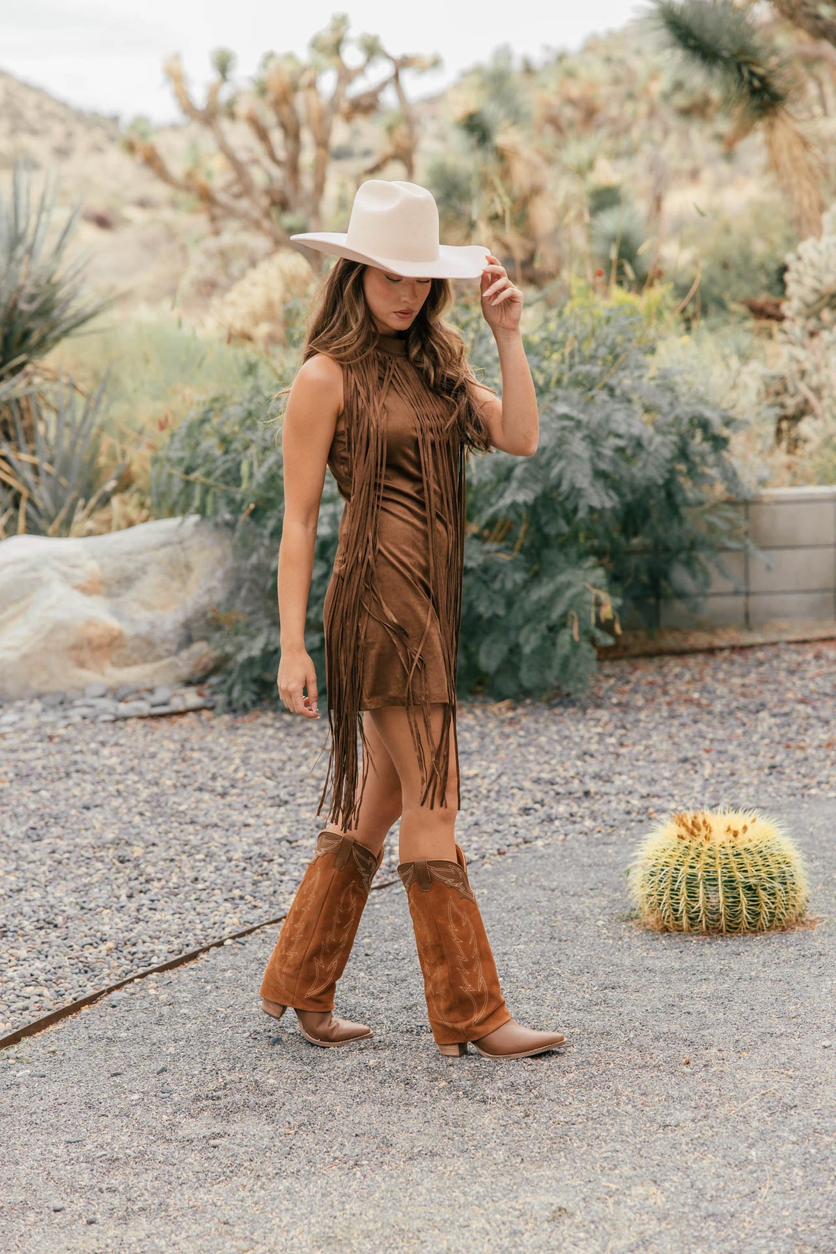 The "Prescott" Fringe Faux Suede Dress in Brown