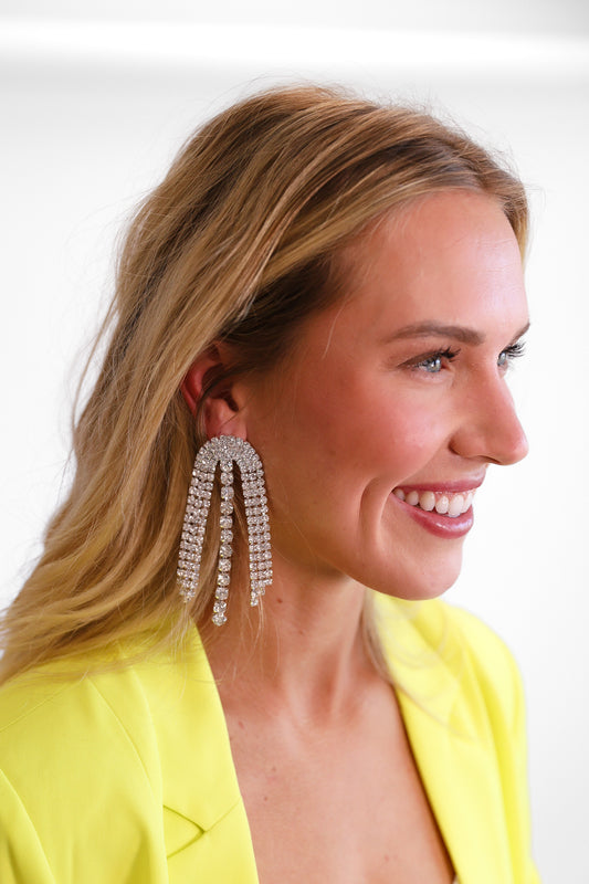 NEW!! Mia Silver Crystal Drop Earring