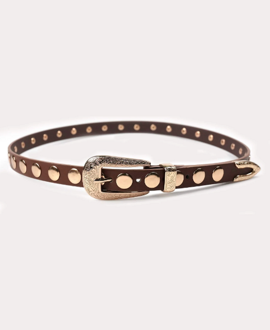 FINAL SALE!! Phoenix Disc Belt in Brown