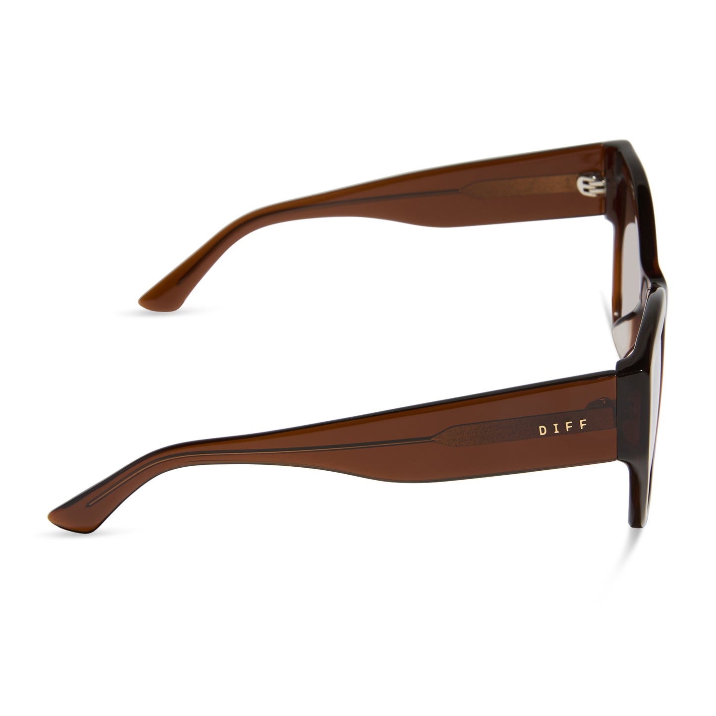 FINAL SALE!! Vivienne Brown Gradient Polarized Sunglasses