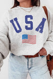 "USA" Sweatshirt in Grey