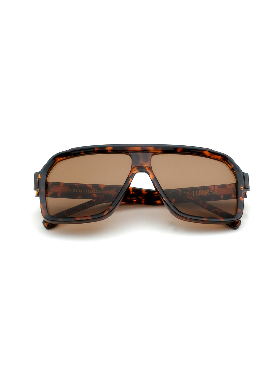 Wild Horse in Tortoise
