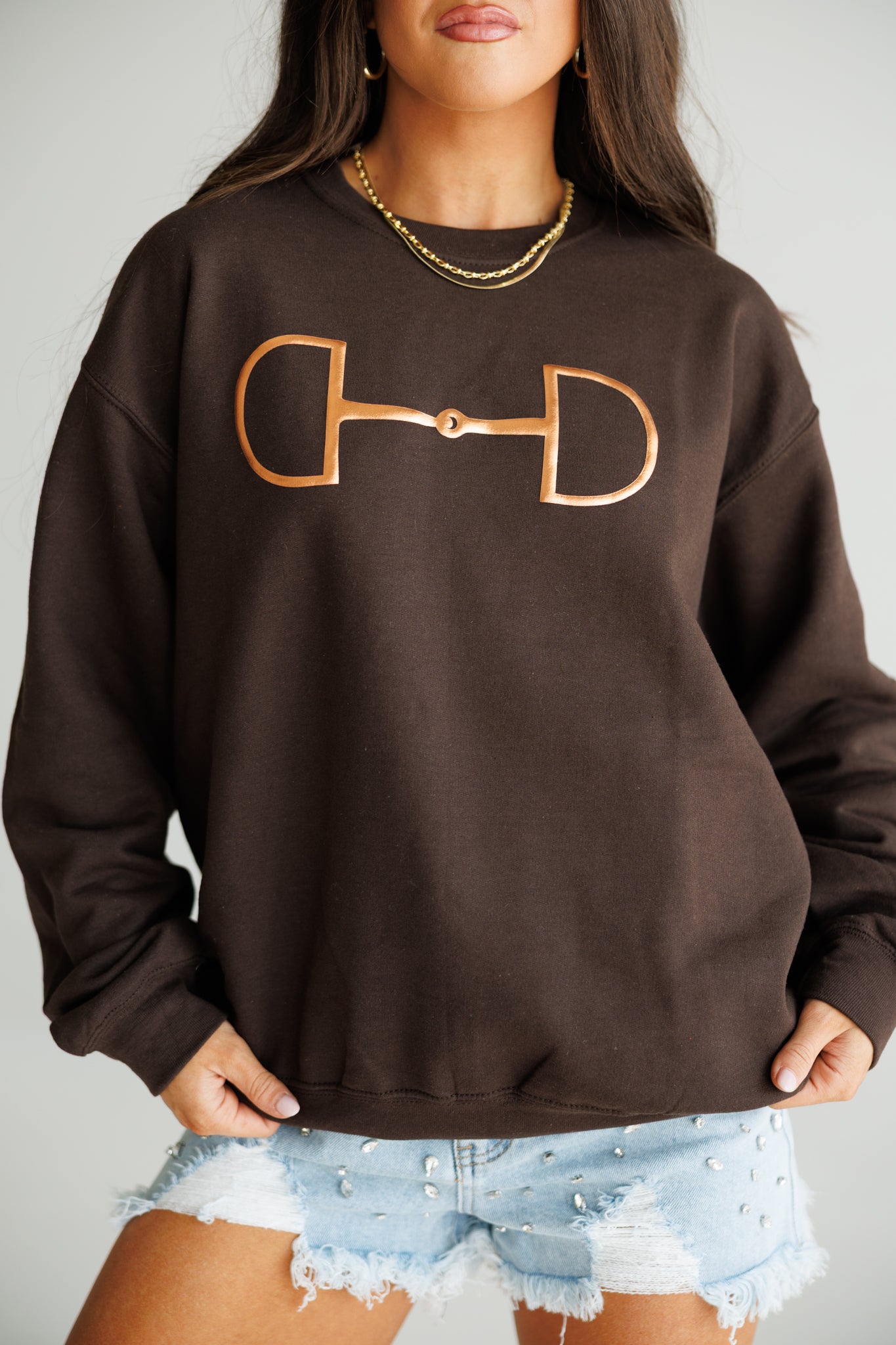 "Metallic Cowgirl" Horsebit Sweatshirt in Brown