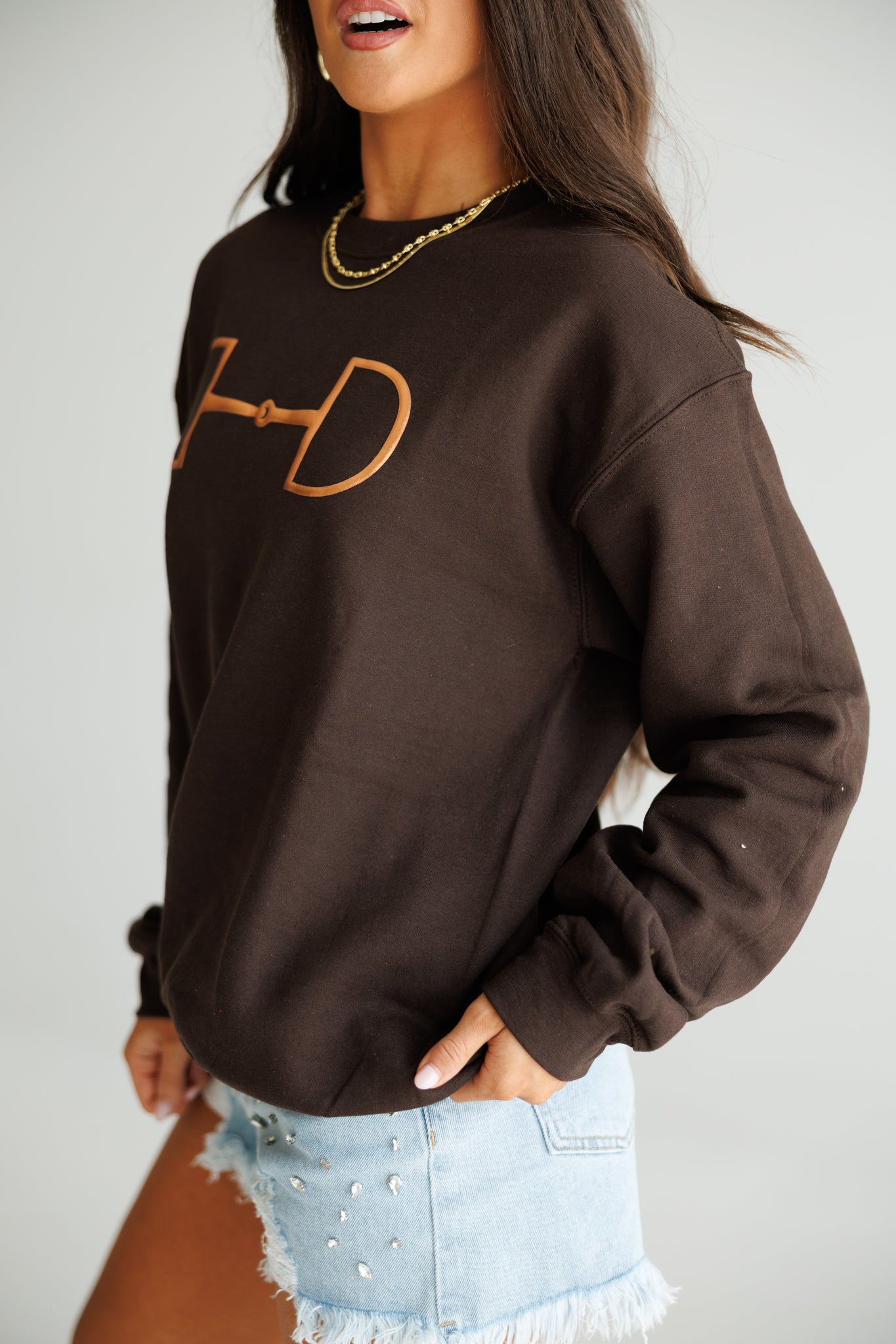 "Metallic Cowgirl" Horsebit Sweatshirt in Brown