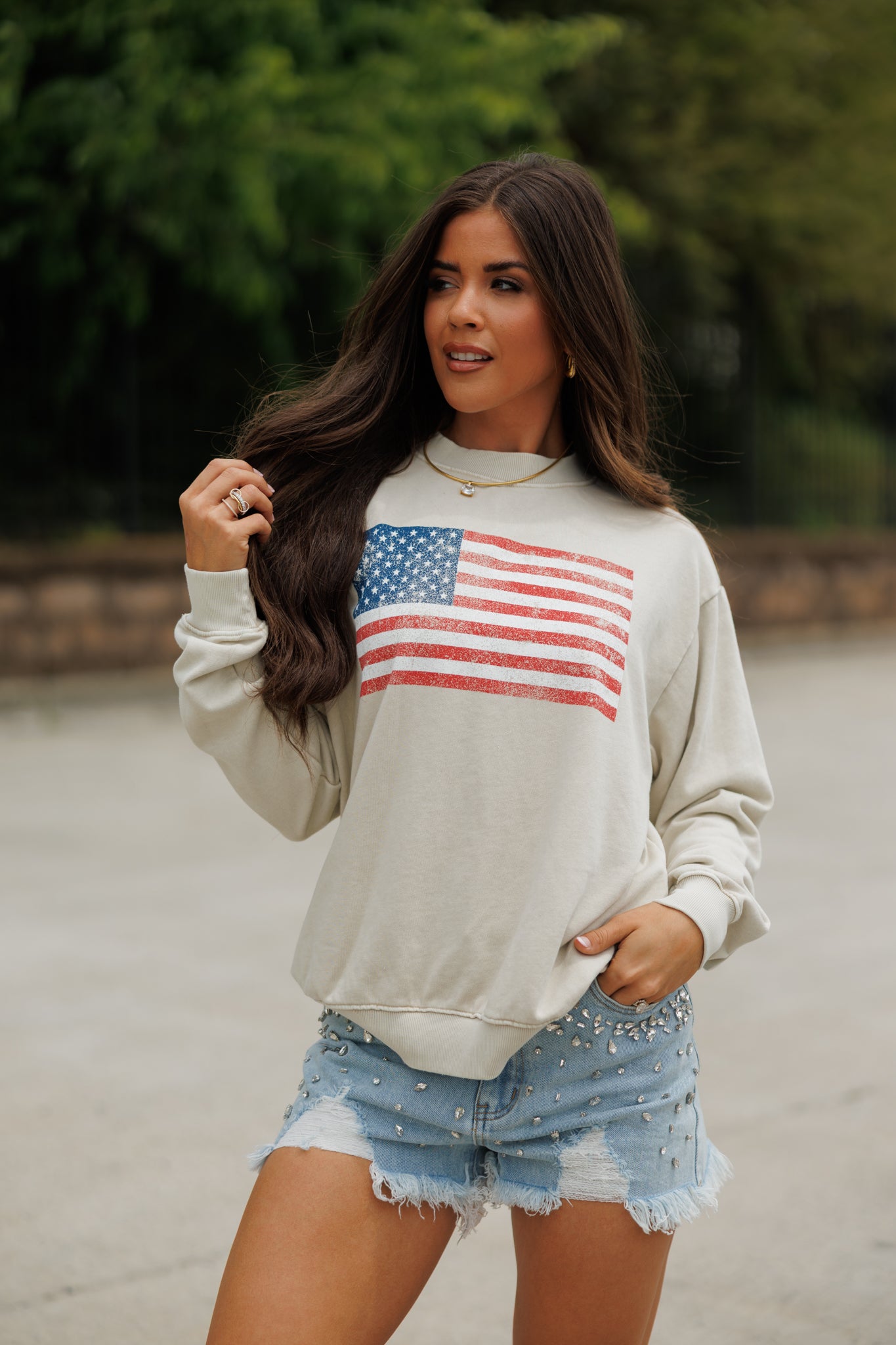 "American Flag" Sweatshirt in Mineral Oatmeal
