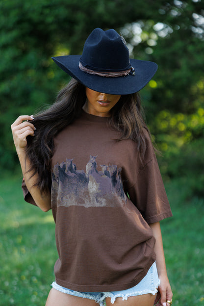 Wild Horse Short Sleeve Tee in Brown