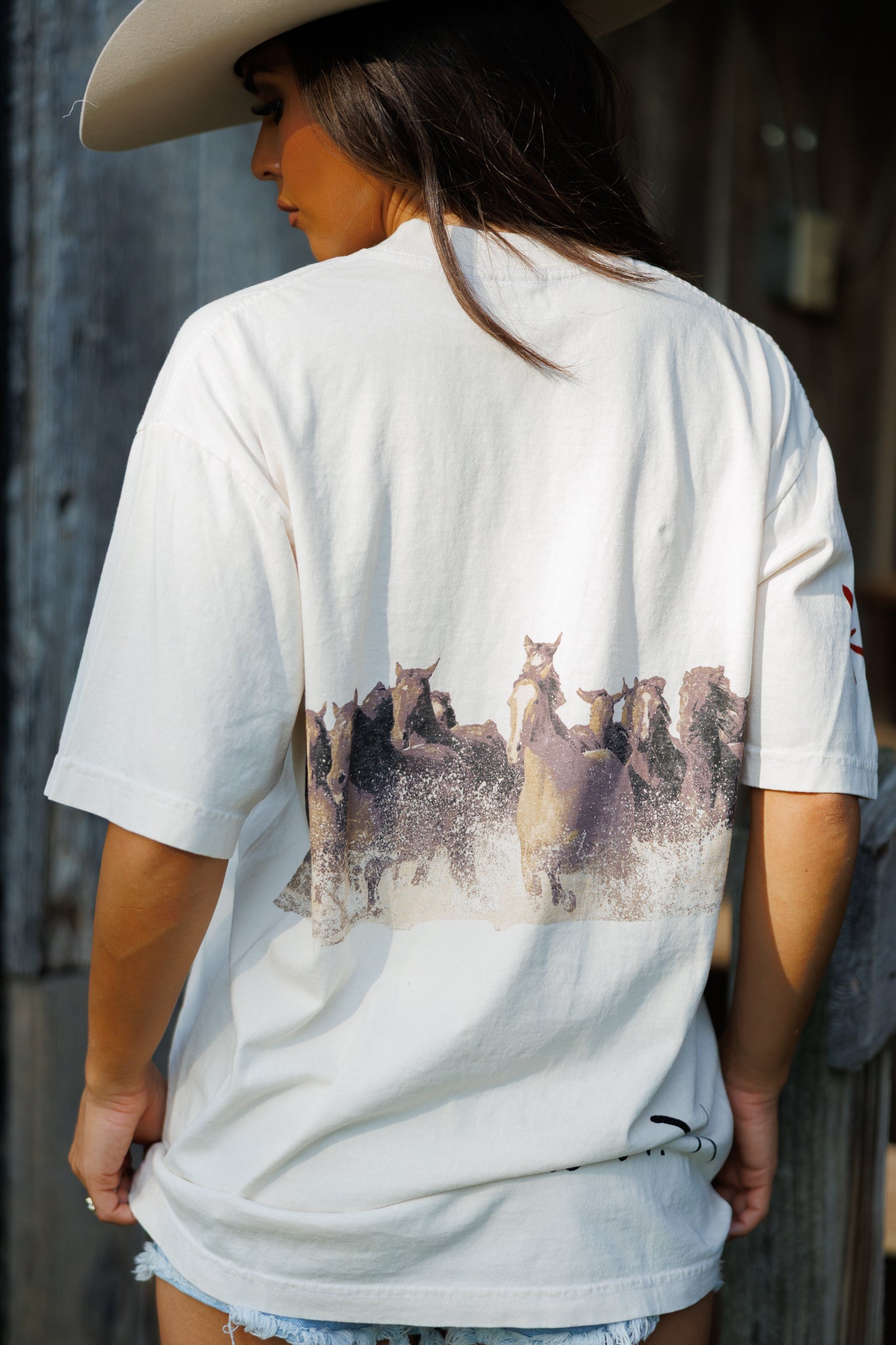 Wild Horse Short Sleeve Tee in Ivory