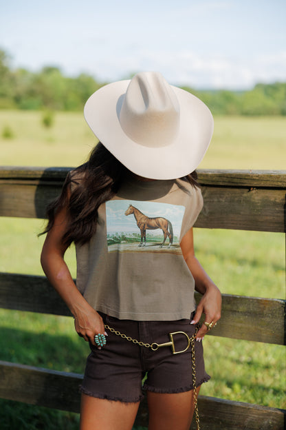 Equestrian Muscle Tee