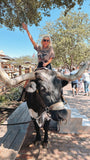 NEW!! Bronc Short Sleeve Tee in Brown by DARLIN' Brand