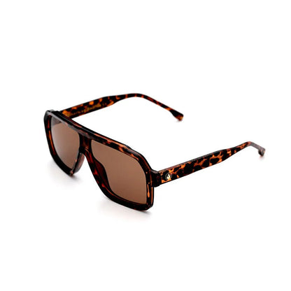 Wild Horse in Tortoise