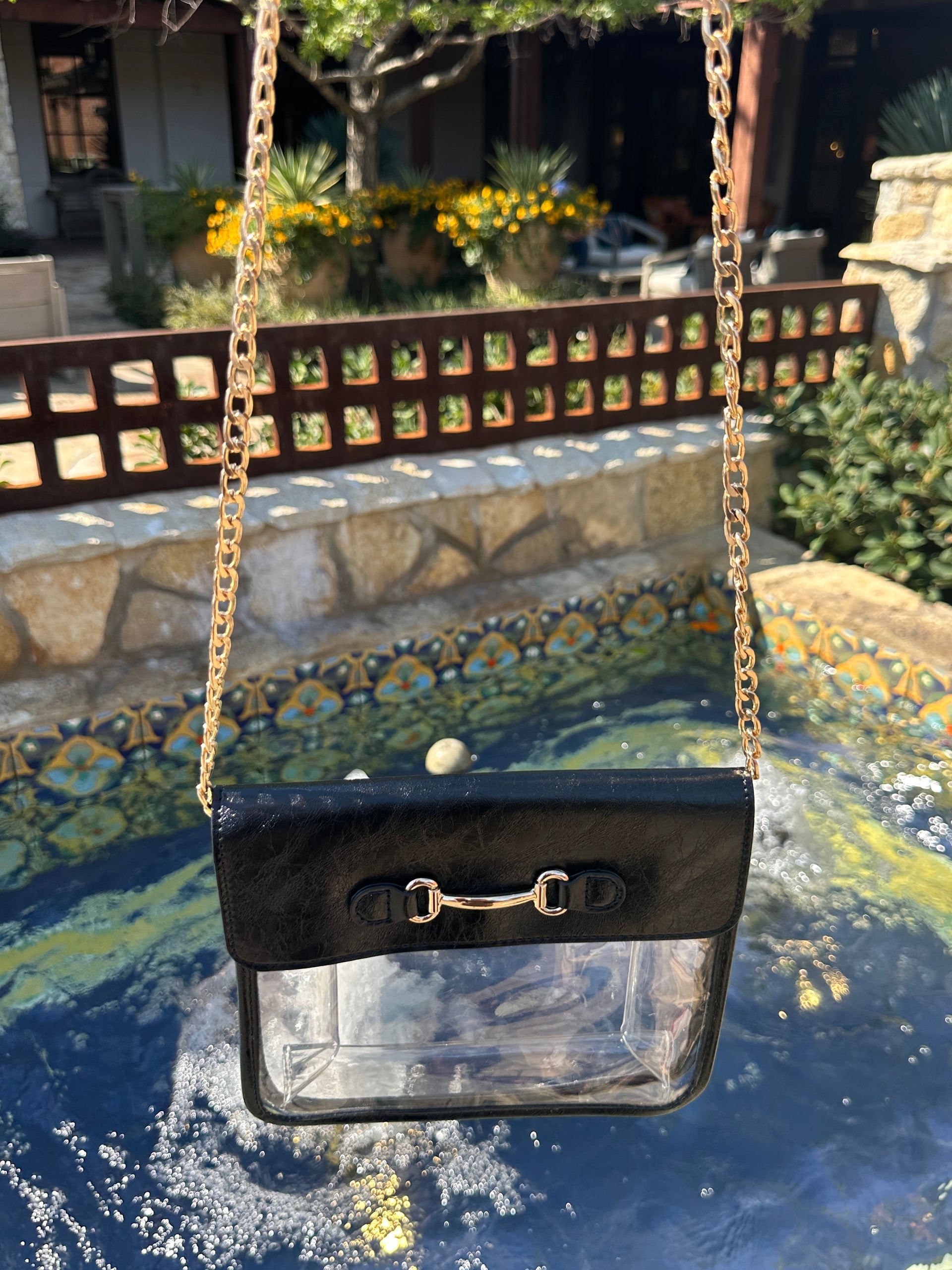 Bag Check Clear Crossbody