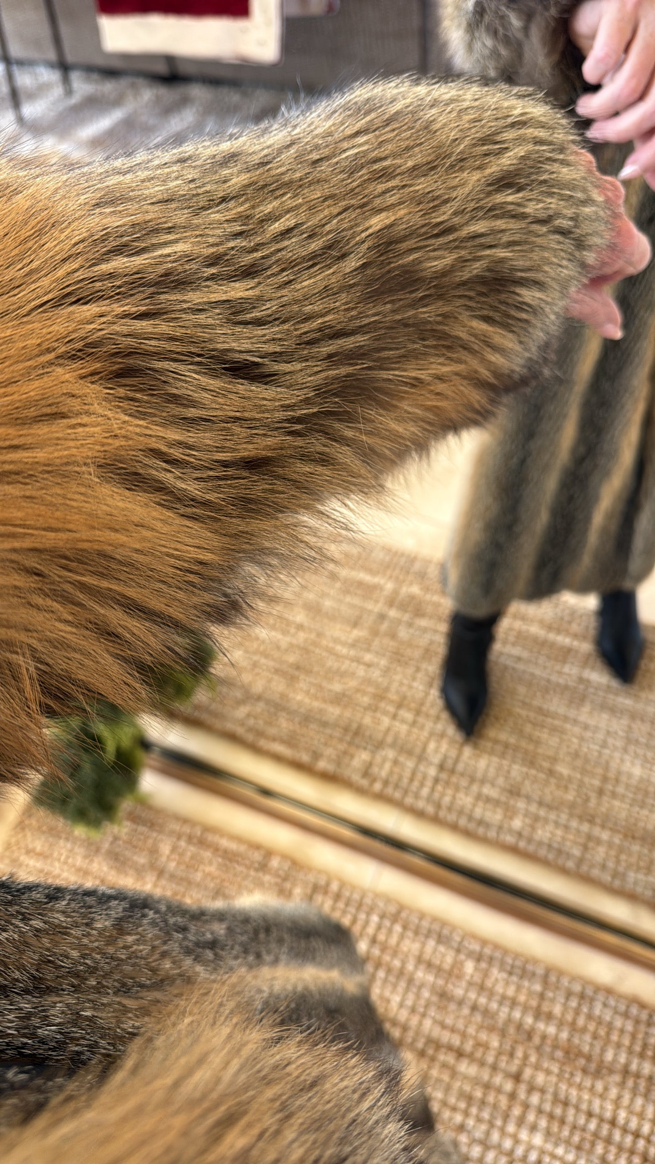 #38 Vintage Red Fox Full Length Coat