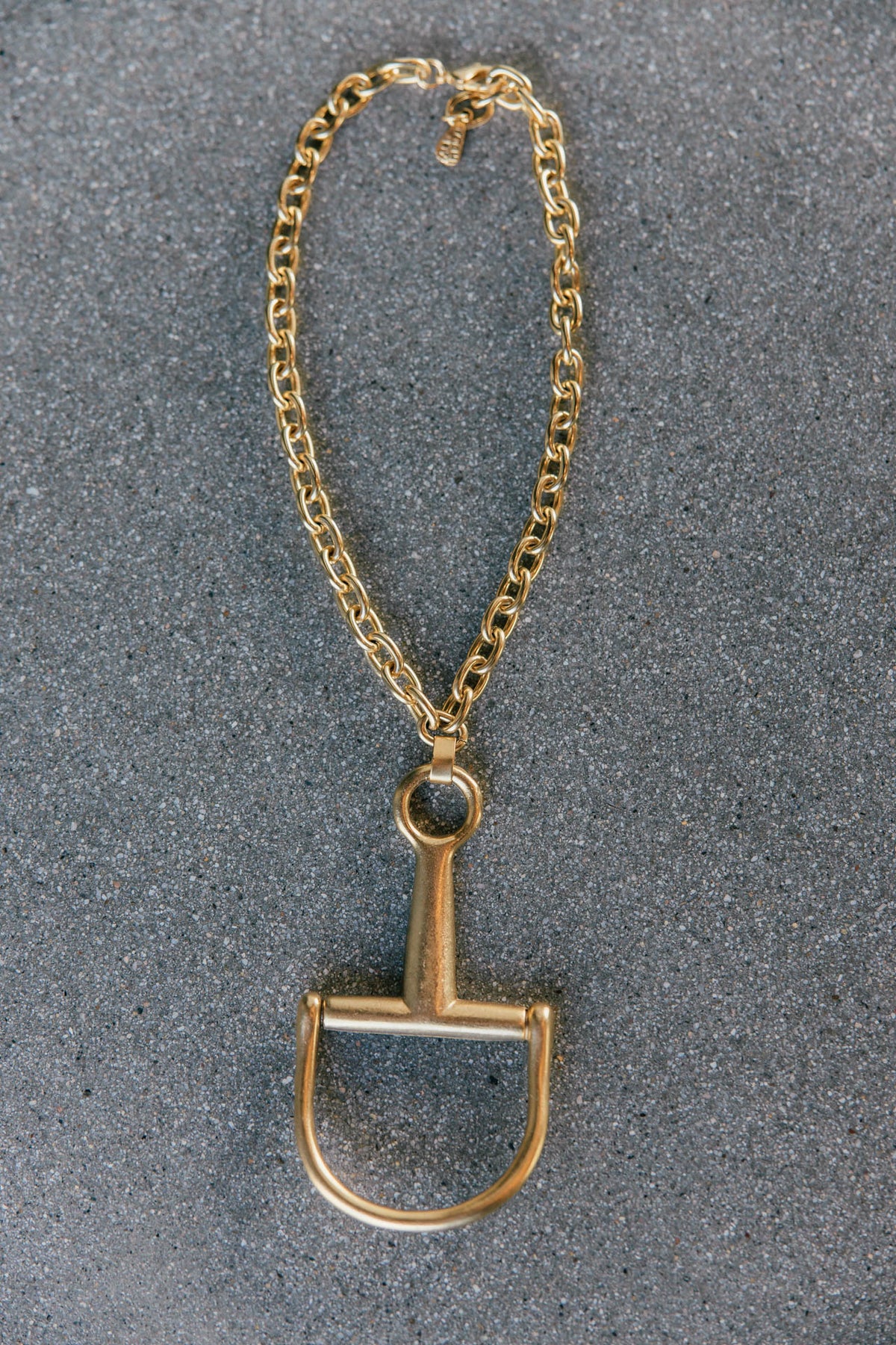 Horsebit Necklace with Chain in Gold