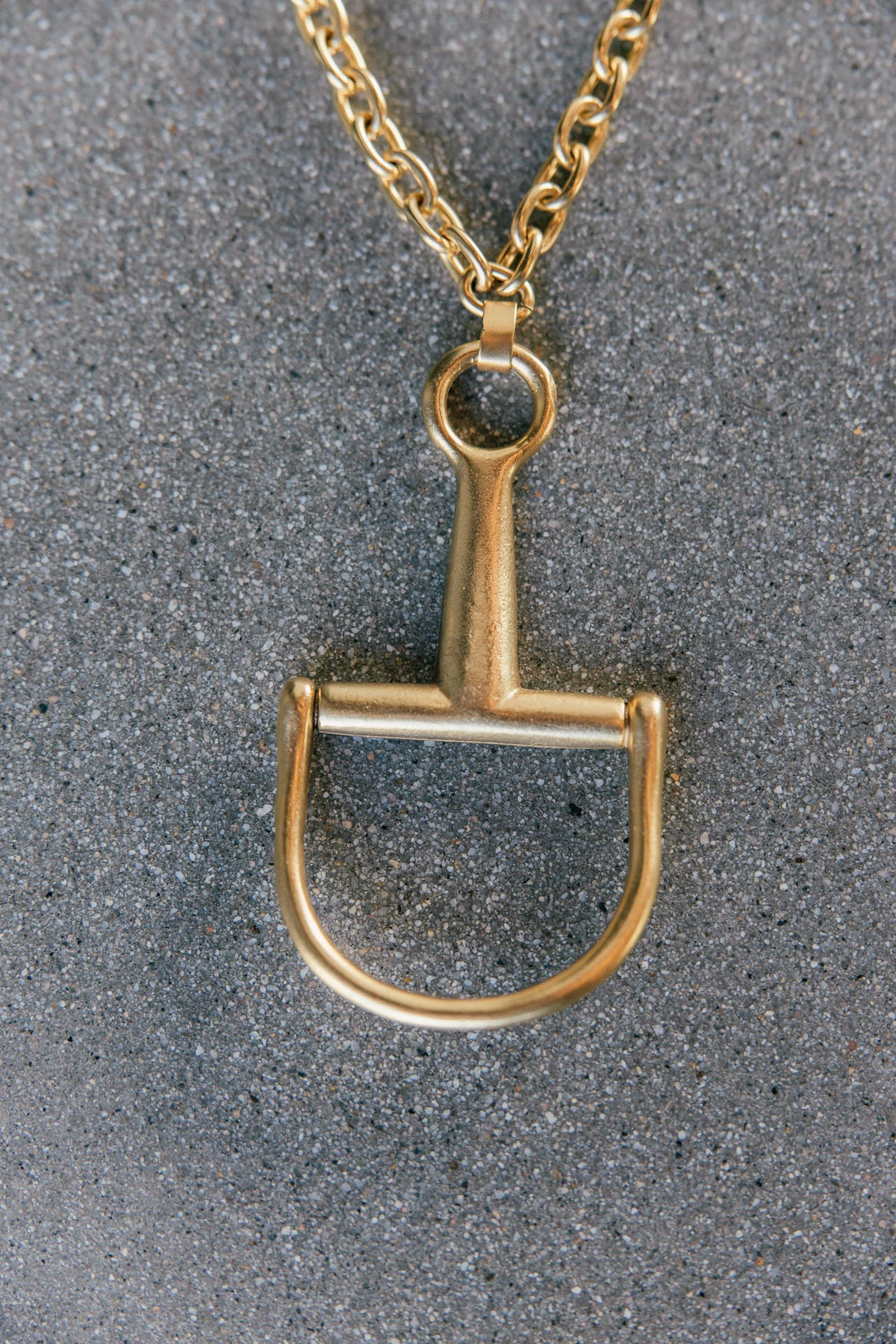 Horsebit Necklace with Chain in Gold