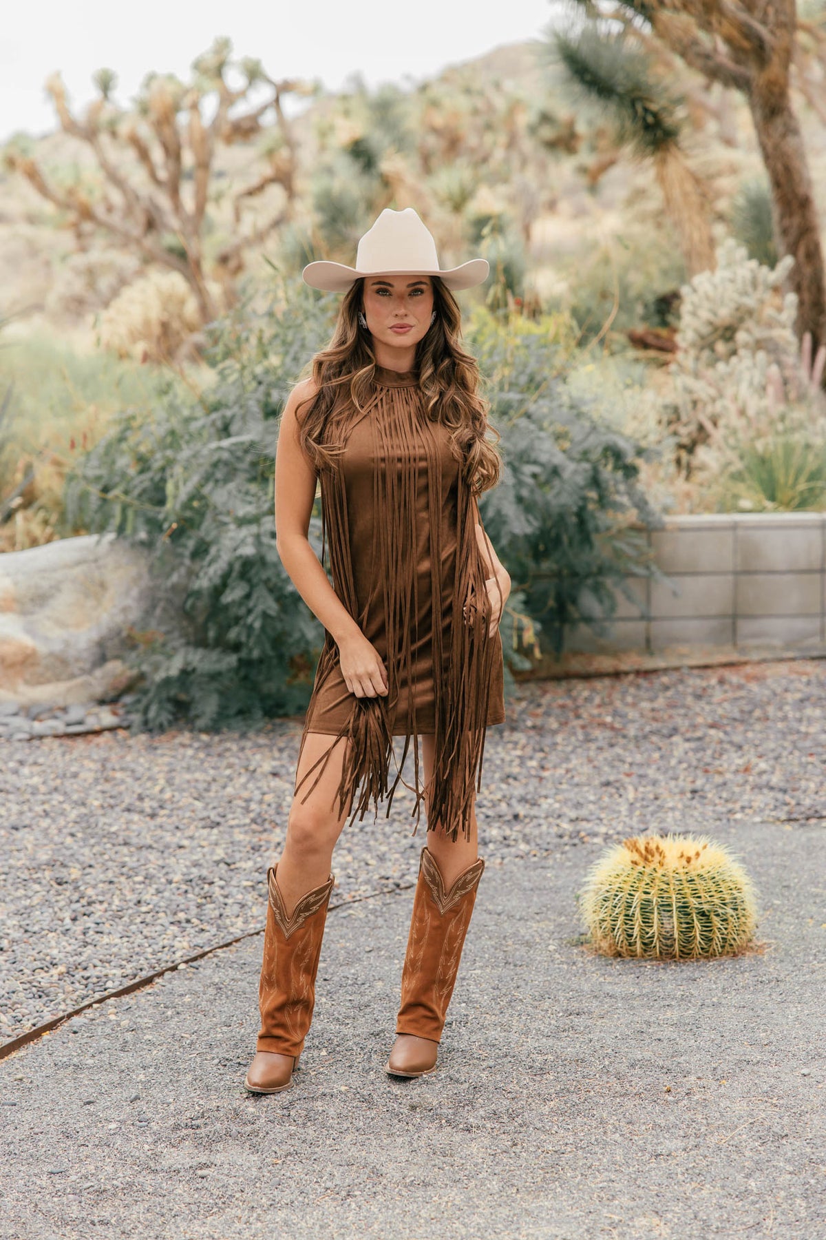 The "Prescott" Fringe Faux Suede Dress in Brown