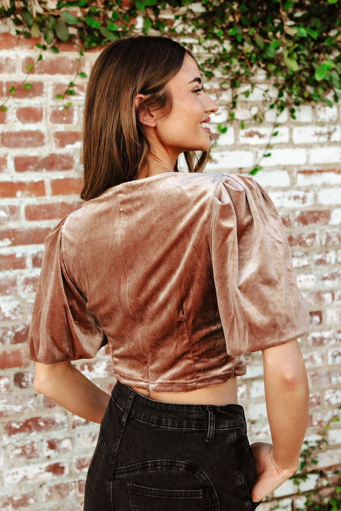 FINAL SALE!! Velvet Bow Puff Sleeve Crop Top