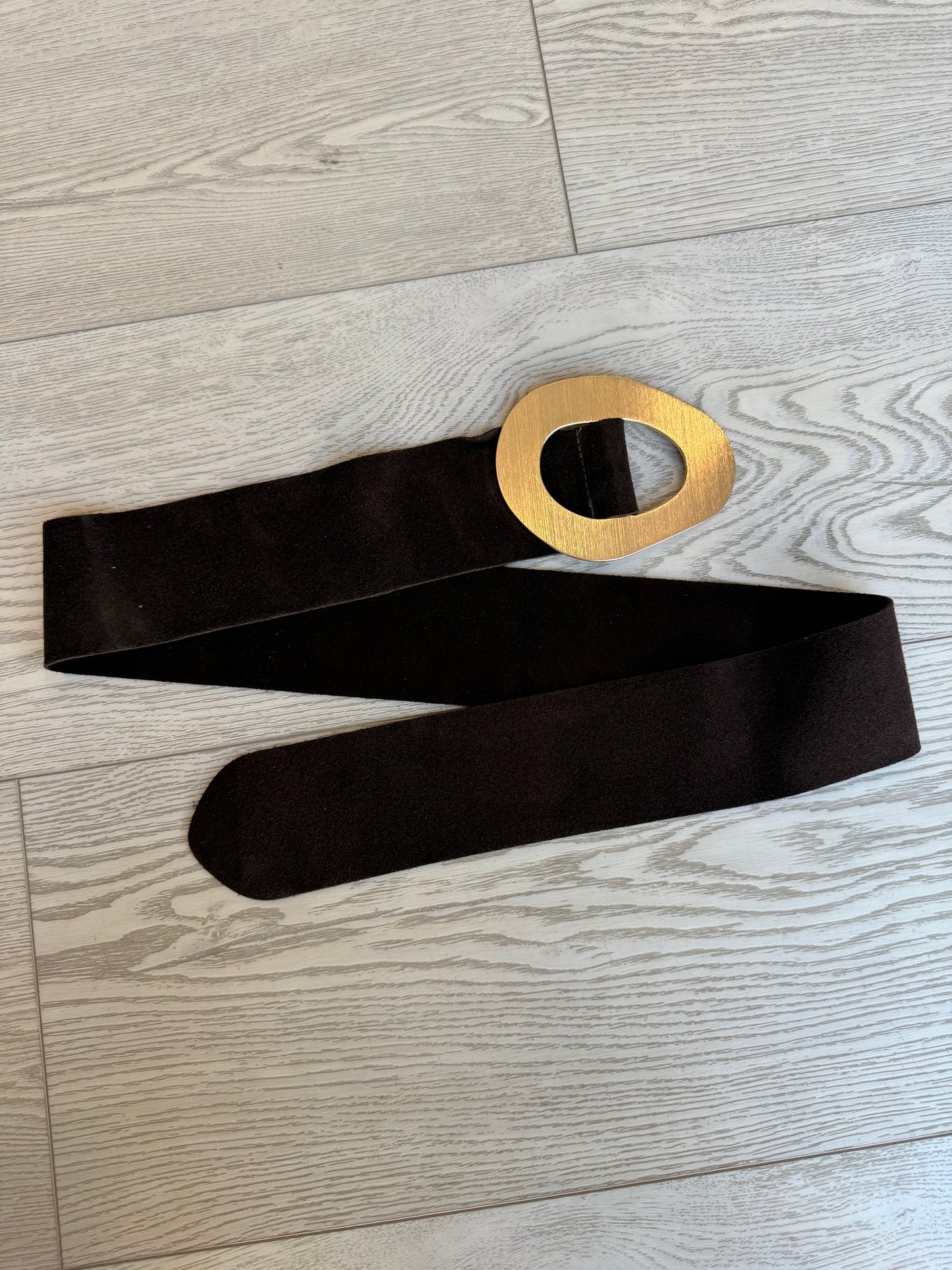 Nirvana Suede Statement Belt in Brown