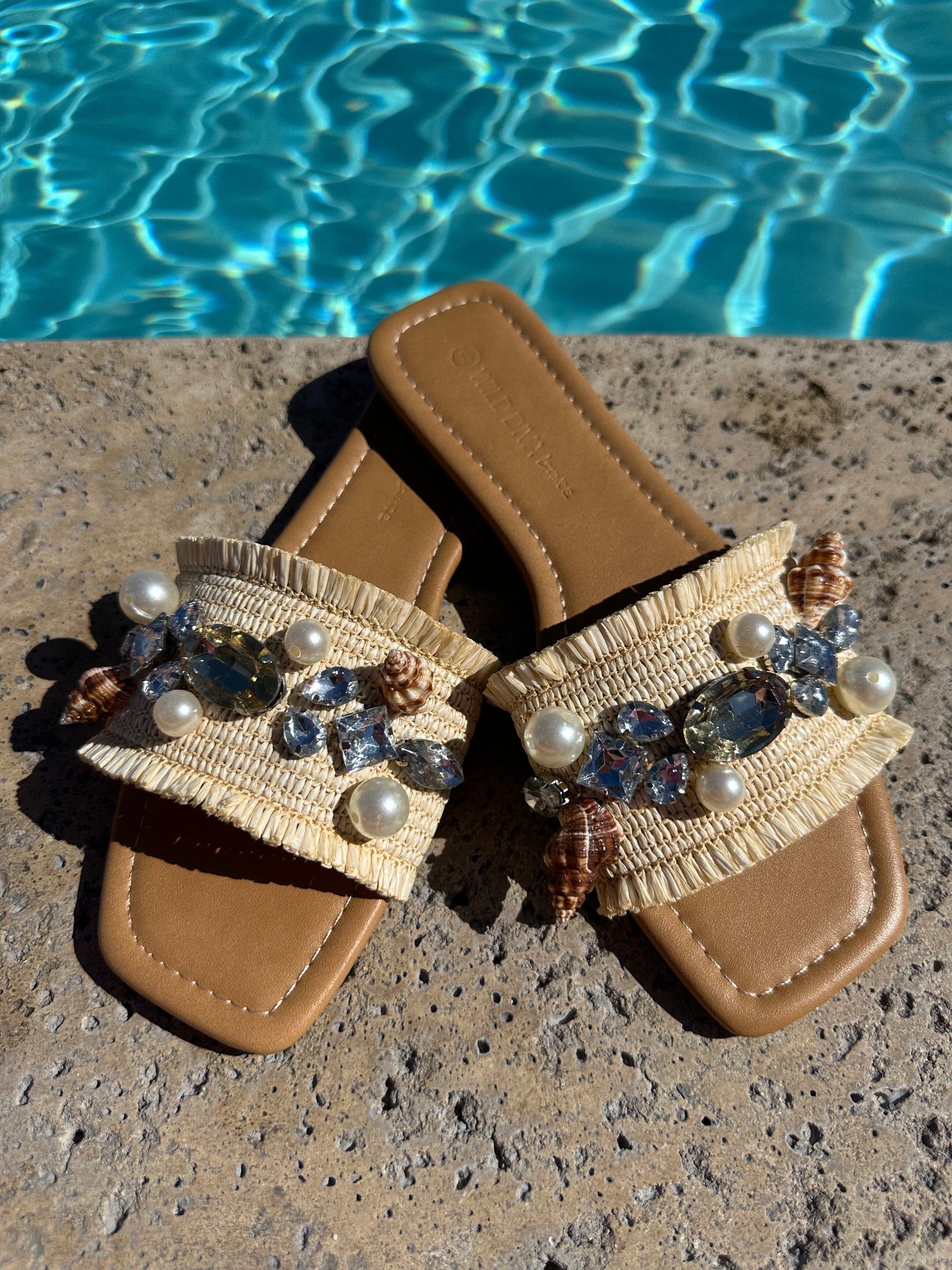 FINAL SALE "Off Coast" Seashell Slide
