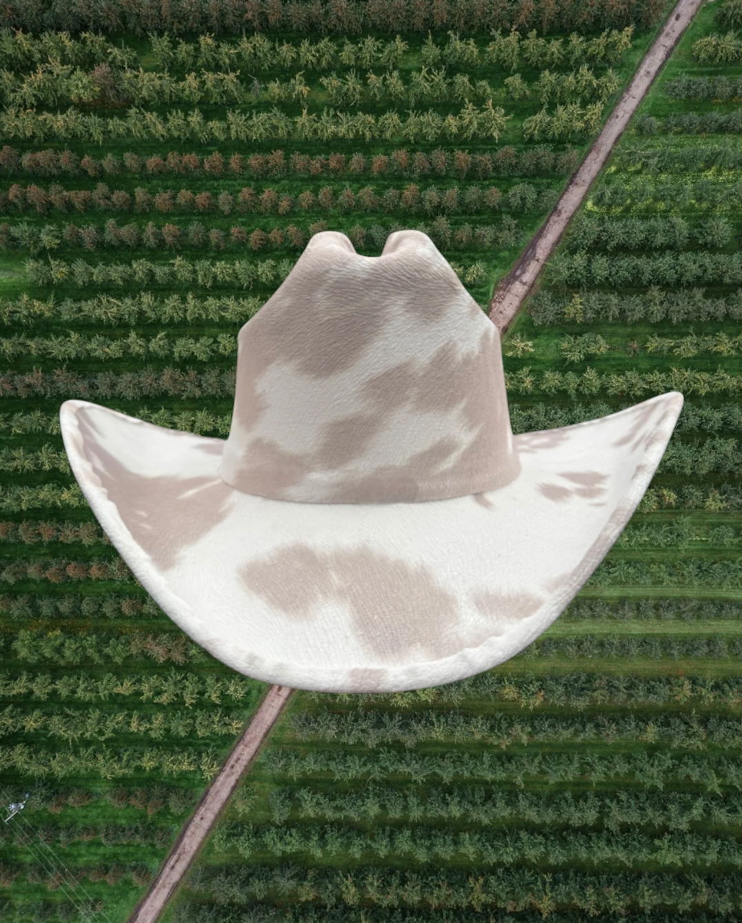 NEW!! Dairy Cream Cowboy Hat