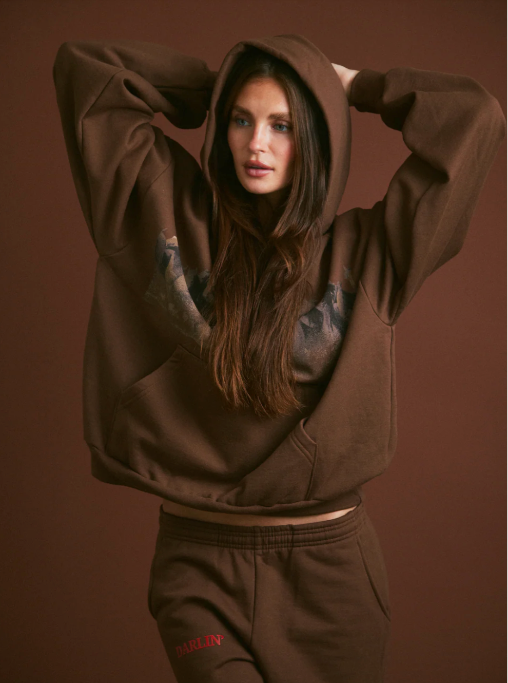 Wild Horse Hoodie in Brown