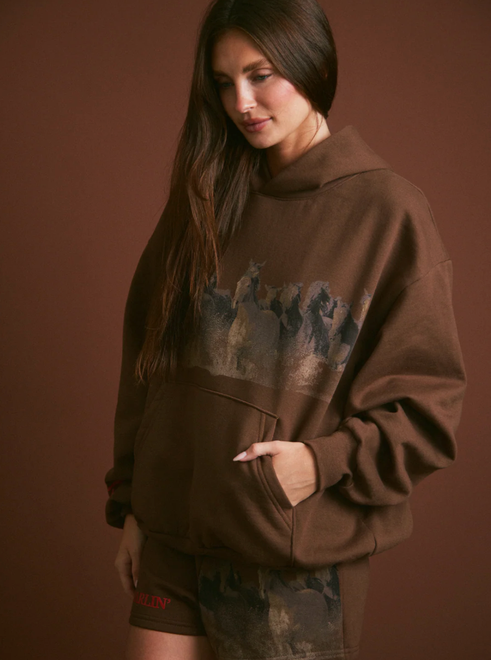 Wild Horse Hoodie in Brown