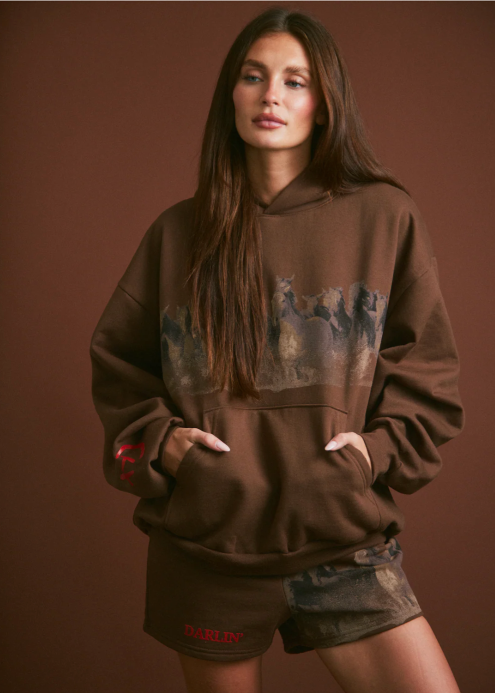 Wild Horse Hoodie in Brown