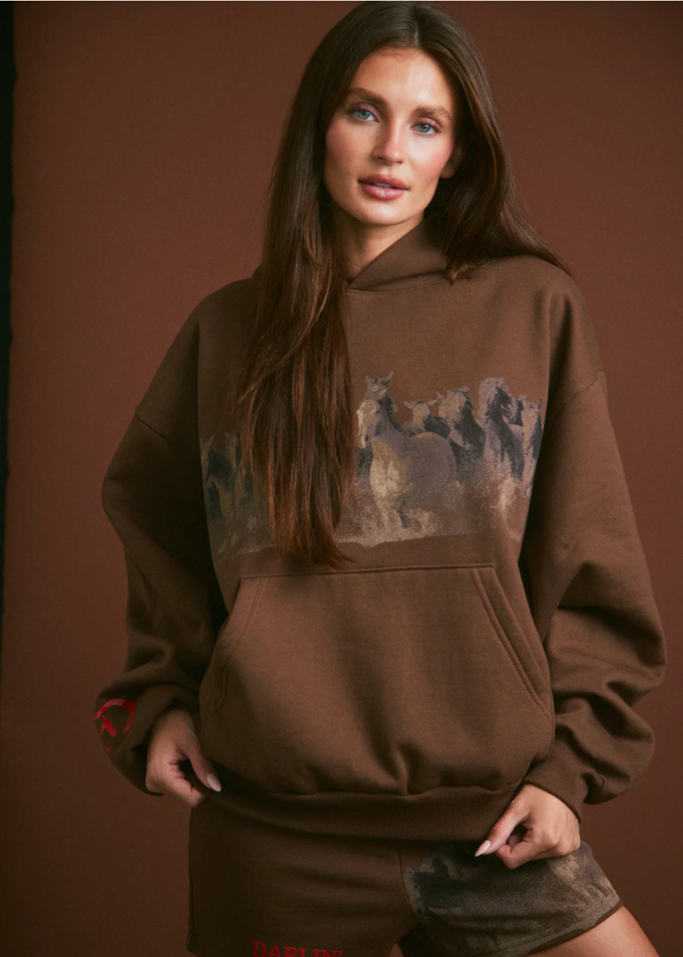 Wild Horse Hoodie in Brown
