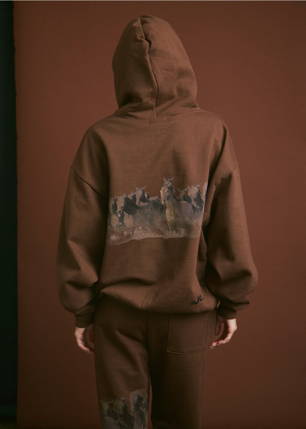 Wild Horse Hoodie in Brown