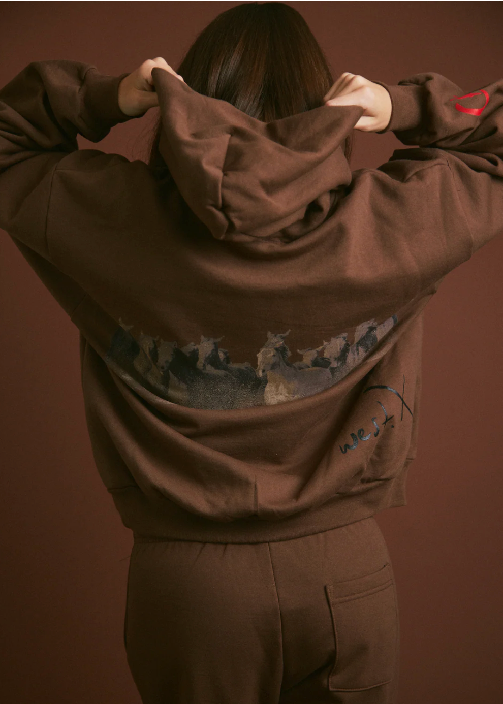 Wild Horse Hoodie in Brown