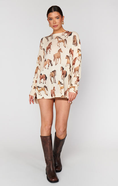 NEW!! Bonfire Sweater in Wild Horses