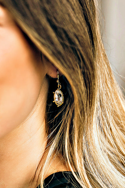 EXCLUSIVE "First Lady's Luncheon" Swarovski Crystal Drop Earrings - Glitzy Bella