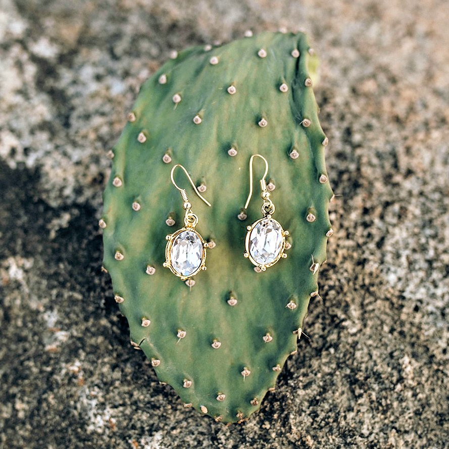 EXCLUSIVE "First Lady's Luncheon" Swarovski Crystal Drop Earrings - Glitzy Bella