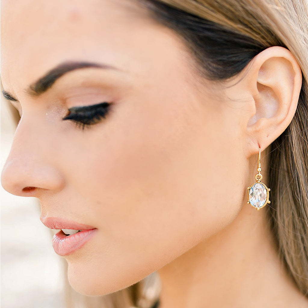 EXCLUSIVE "First Lady's Luncheon" Swarovski Crystal Drop Earrings - Glitzy Bella