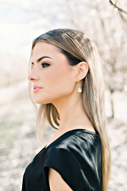 EXCLUSIVE "First Lady's Luncheon" Swarovski Crystal Drop Earrings - Glitzy Bella